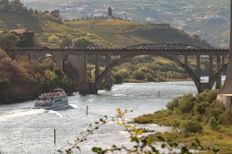 Porto: Cruise with Dinner & Live Music - A night on the Douro, not just a boat ride