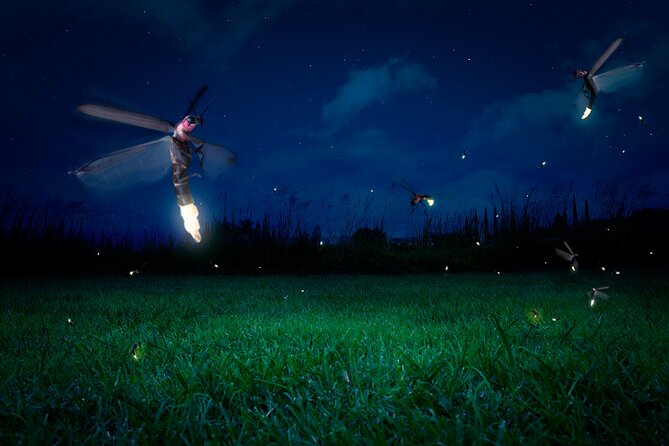 Private Kuala Selangor Firefly Day Trip Include Dinner &Boat Ride - Altingsburg Lighthouse and the road toward Kuala Selangor