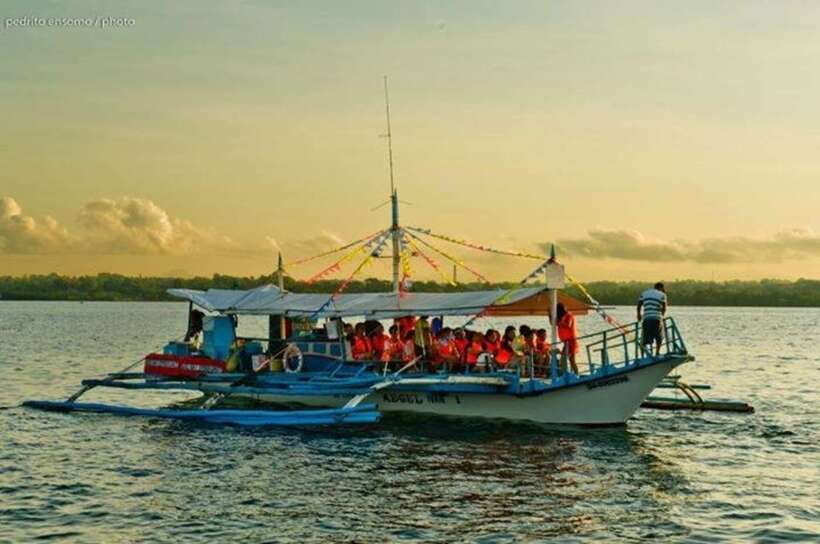 Puerto Princesa: Firefly Watching Bay Cruise with Dinner - Who Will Enjoy This Evening Most