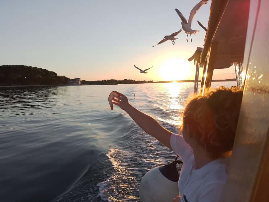 Pula: Brijuni Dolphins Sunset Cruise with Dinner and Drinks - Who should book, and who should think twice