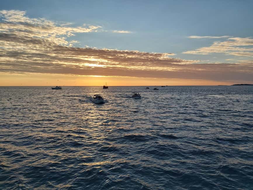 Pula: Dolphin Sunset Cruise to Brijuni with Dinner & Drinks - The Brijuni route and the sunset setting