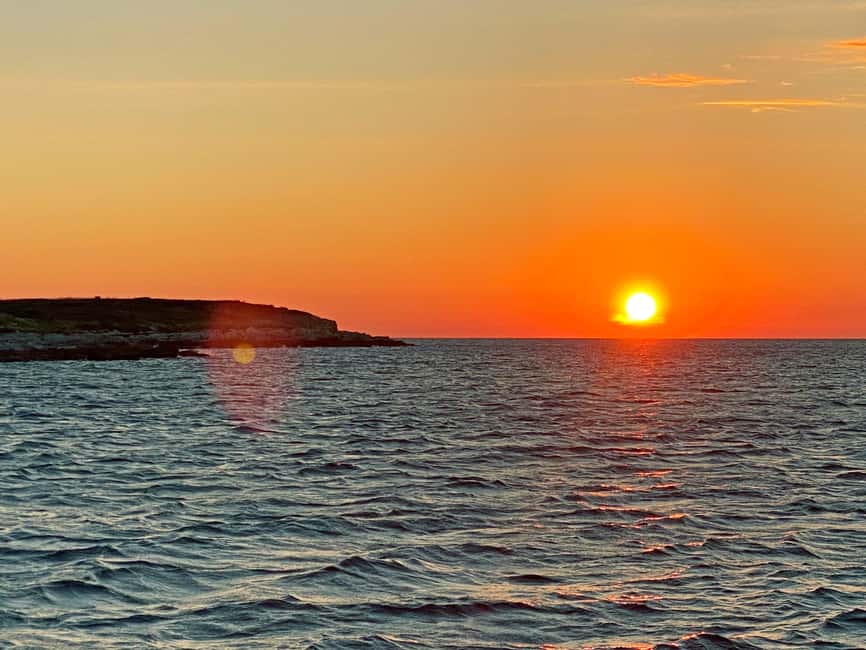 Pula: Dolphin Sunset Cruise to Brijuni with Dinner & Drinks - Searching for dolphins in the wild