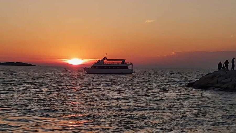 Pula: Dolphin Sunset Cruise to Brijuni with Dinner & Drinks - Who will enjoy this cruise most