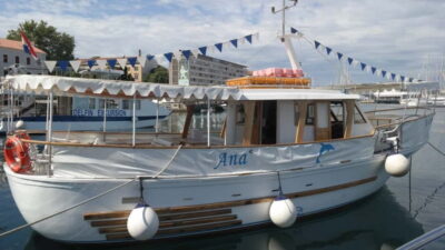Dolphin-Watching Cruise at Sunset with Dinner & Drinks