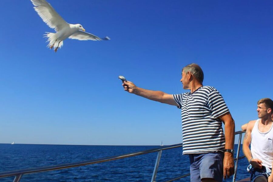 Pula: Dolphin Watching Sunset Cruise with Dinner & Drinks - What makes this cruise worth considering