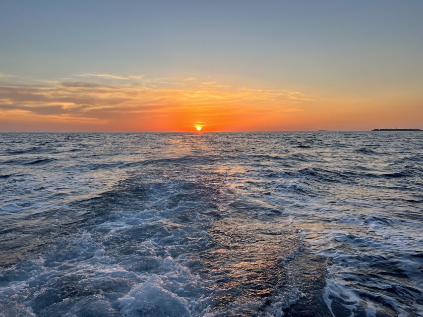 Pula: Dolphin Watching Sunset Cruise with Dinner & Drinks - Should you book it?