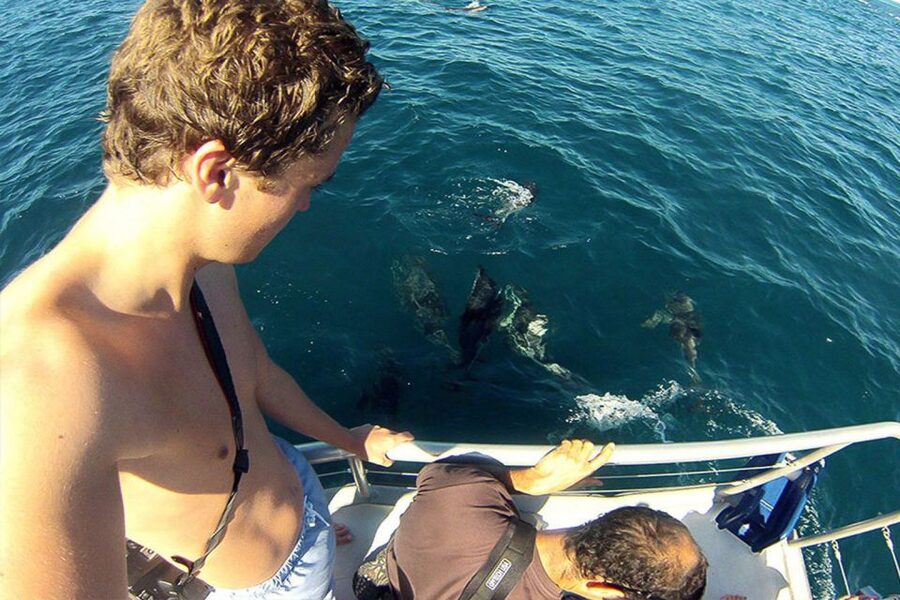 Pula: National Park Brijuni Dolphin Cruise with Dinner - Searching for dolphins near Brijuni National Park