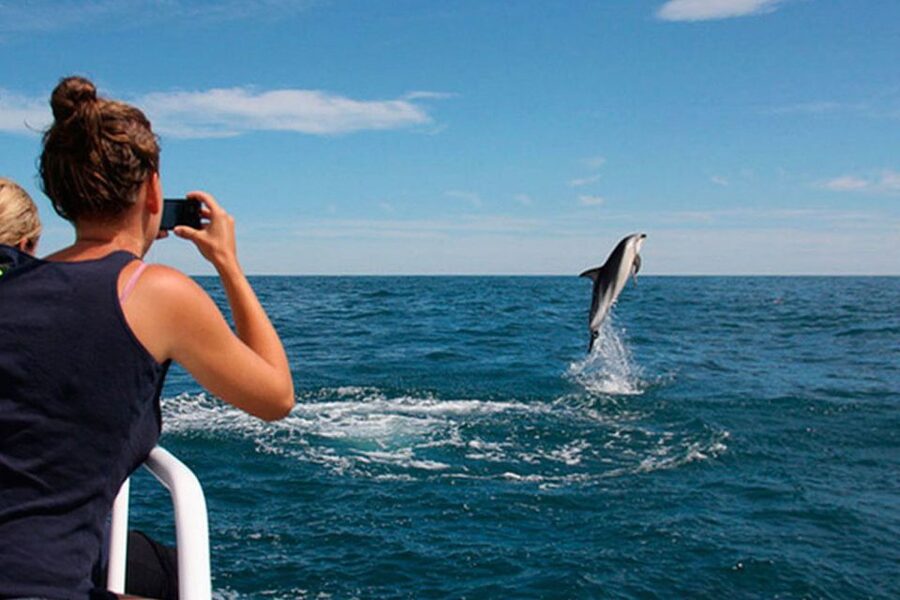 Pula: National Park Brijuni Dolphin Cruise with Dinner - The first half hour: boarding and finding your place