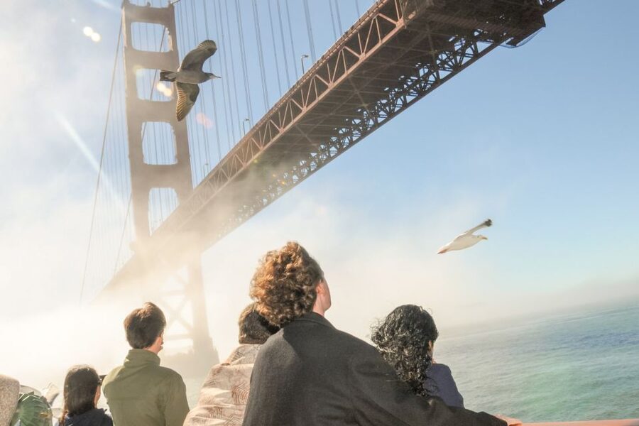 San Francisco: City Cruises Buffet Lunch or Dinner Cruise - Boarding at Pier 3 on the Embarcadero