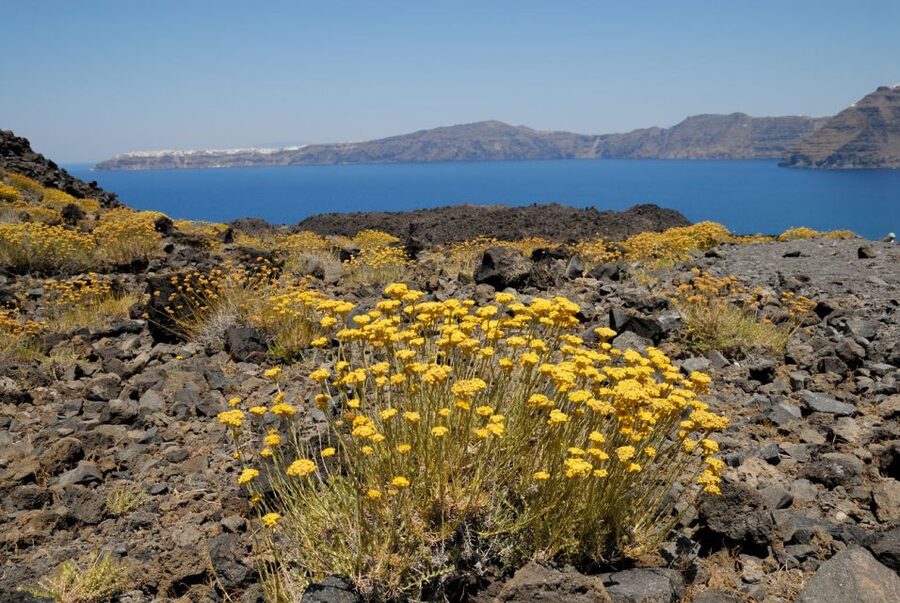 Santorini Caldera: Sunset Cruise with Dinner - Dinner on the boat after the main stops
