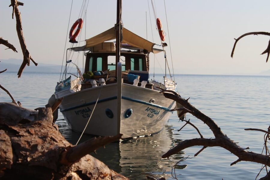 Skiathos: Boat Cruise with Dinner & Sunset Viewing - Who will enjoy Artemida most