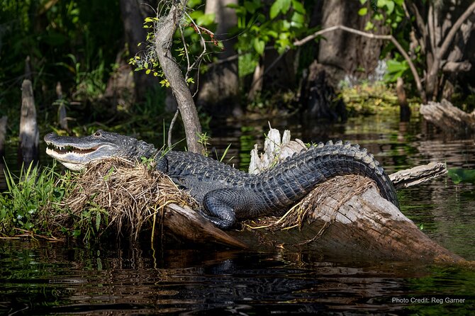 St. Johns River Lunch and Dinner Cruises in Sanford, Florida - Meeting point and cancellation details