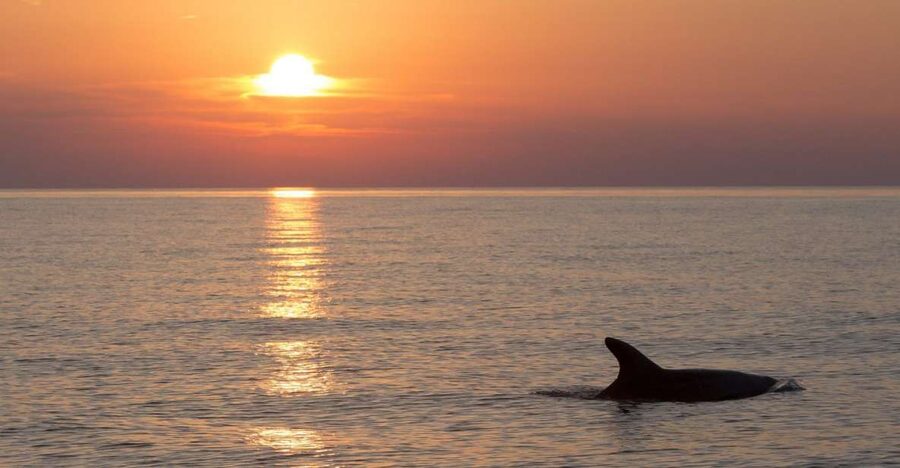 Sunset Dolphin Cruise with Dinner – Medulin Archipelago - Sunset views across the Medulin archipelago