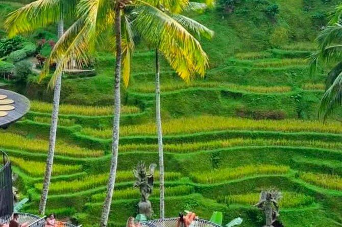 Sunset Sailboat Dinner Cruise & Private Ubud highlights Tour. - The Phinisi boat changes the mood at sunset