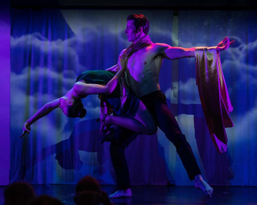 Sydney Harbour: Cabaret Cruise with 3-Course Dinner - The vegetarian and children’s choices