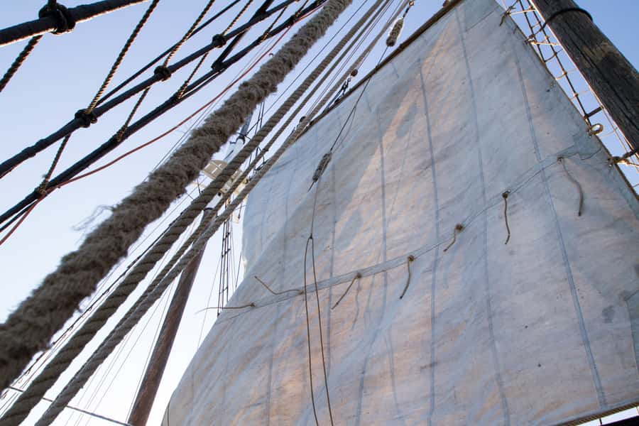 Sydney: Tall Ship Harbour Twilight Dinner Cruise - Weather, comfort, and the practical limits