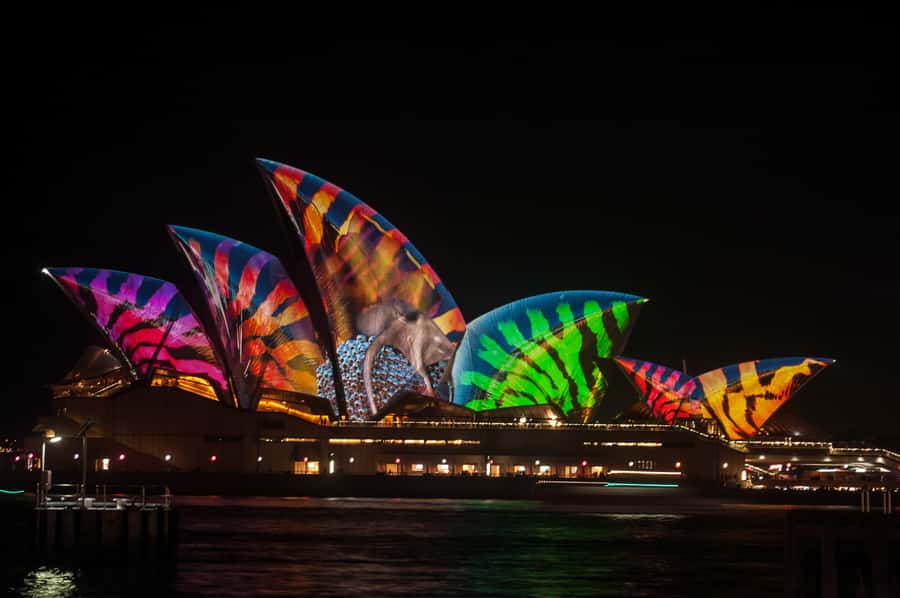 Sydney: Vivid Festival of Light Harbor Cruise with Dinner - Buffet dinner with more choice than expected