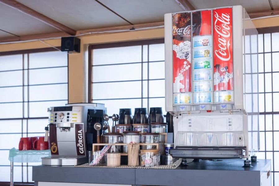 Tokyo: Rainbow Bridge Day Cruise Show and Only Soft Drinks - Who will enjoy this yakatabune ride?