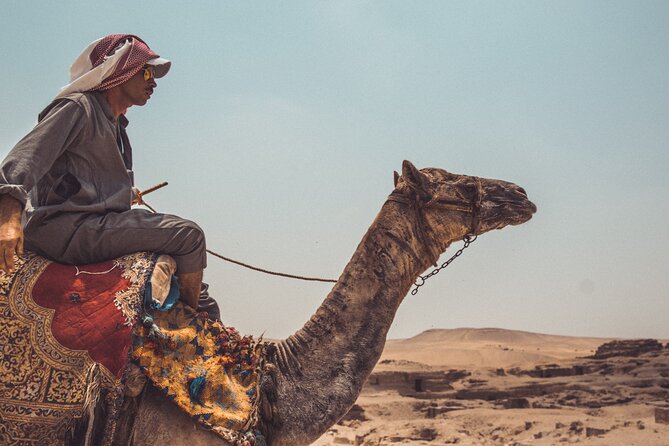 Tour To Pyramids Of Giza, Museum Visit & Dinner Cruise Combo - How the private format affects your day