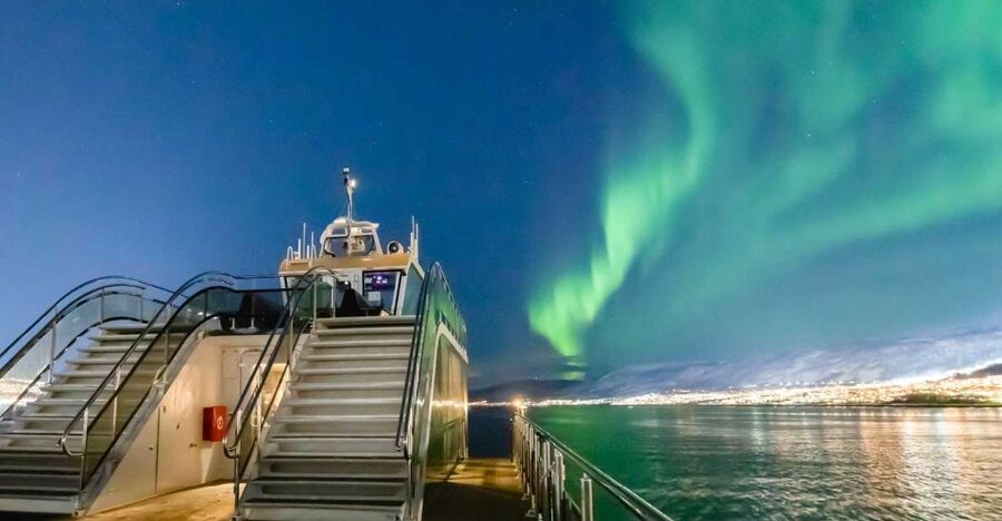Tromsø: Aurora Dinner Cruise by Hybrid-Electric Catamaran - Key points at a glance