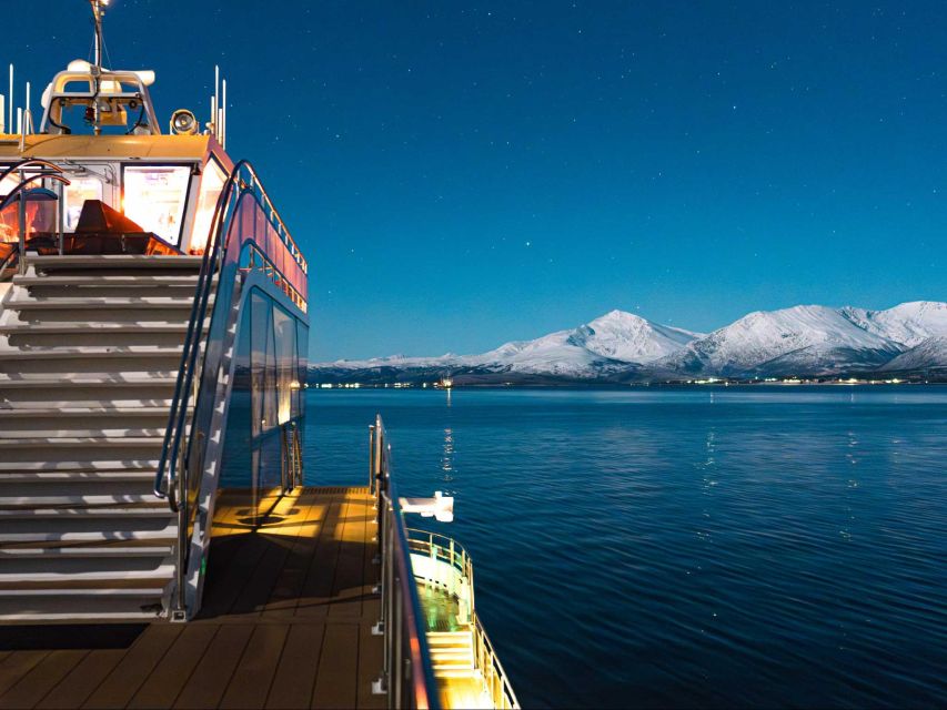 Tromsø: Aurora Dinner Cruise by Hybrid-Electric Catamaran - The first viewpoint and the taste of the North