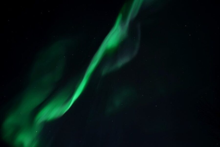 Tromsø: Evening Aurora Cruise (dinner optional) - Key points to know before sailing