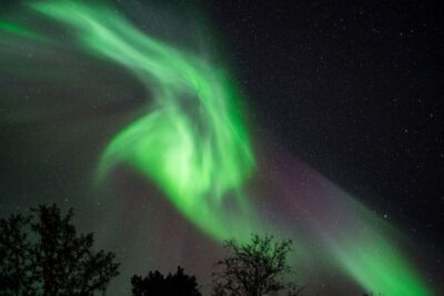 Tromsø: Evening Aurora Cruise (dinner optional)