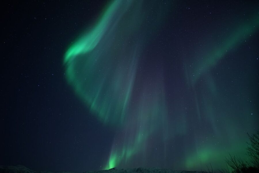 Tromsø: Evening Aurora Cruise (dinner optional) - How the itinerary feels in practice