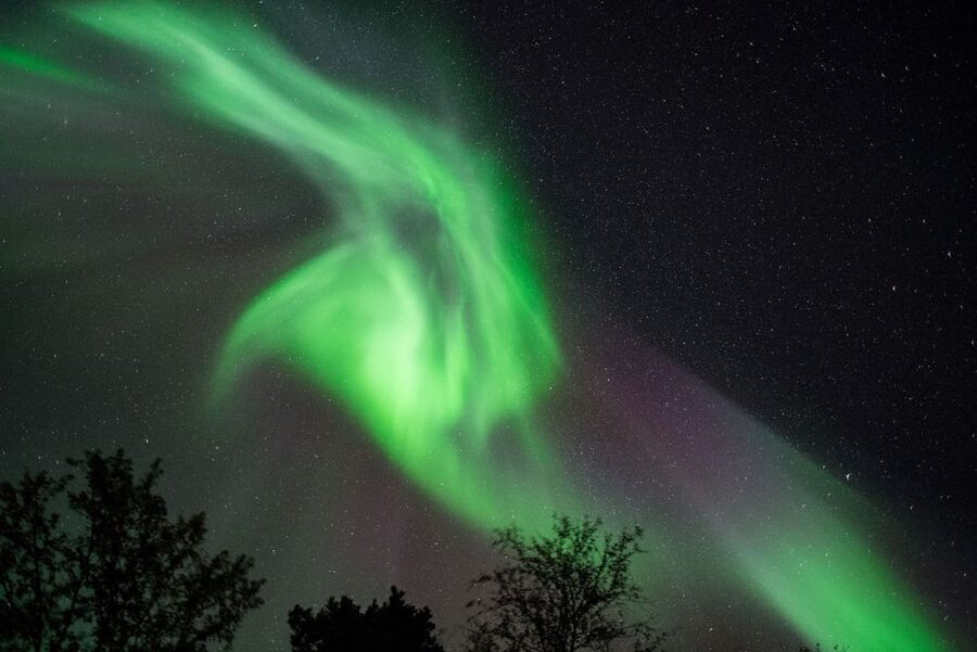 Tromsø: Evening Aurora Cruise (dinner optional) - Searching from the Arctic sea