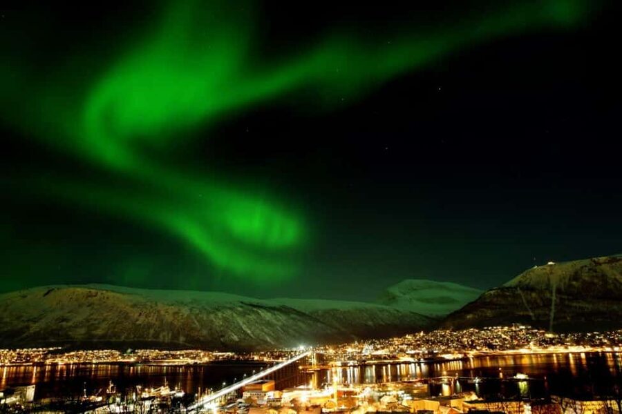 Tromsø: Evening dinner cruise with possible northern lights - Key points to know before boarding