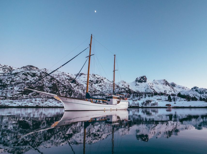 Tromso: Luxury Northern Lights Cruise with Hot Tub & Dinner - Is $309 per person good value?