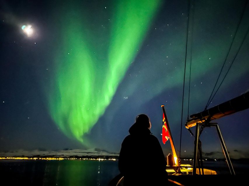 Tromso: Luxury Northern Lights Cruise with Hot Tub & Dinner - Who should book this cruise?