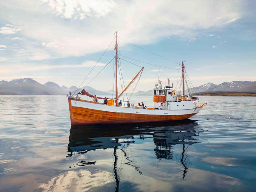 Tromsø: Northern Lights Dinner Cruise - Pier 12 and the First Fifteen Minutes