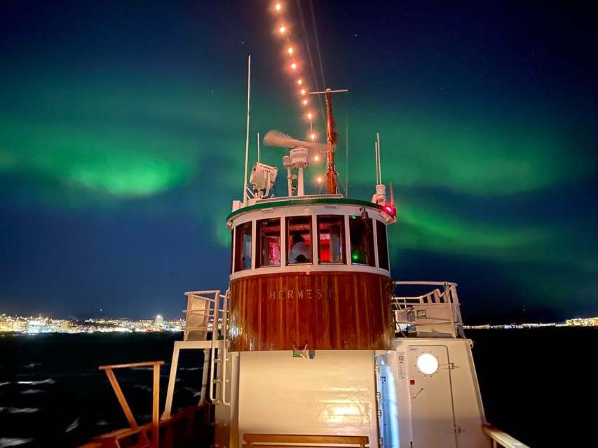Tromsø: Northern Lights Dinner Cruise - Warmth, Comfort, and Winter Practicalities