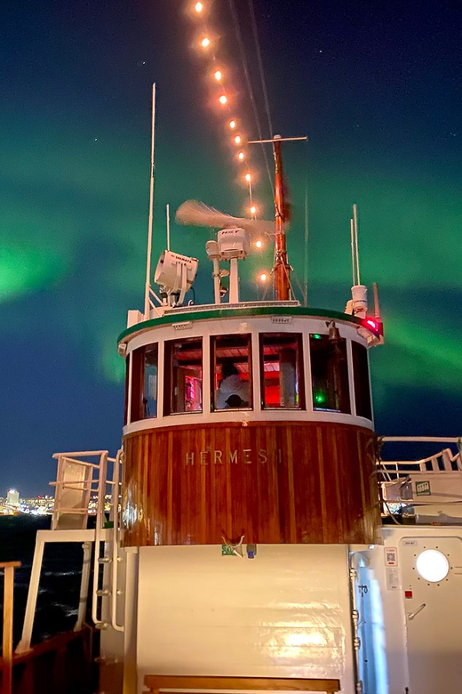 Tromsø: Northern Lights Dinner Cruise - Is $198 a Fair Price?