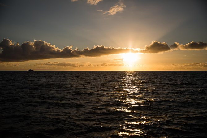 Waikiki Fireworks Dinner Cruise: Sail & Sparkle on Friday Nights - Drinks, music, and the wait for fireworks