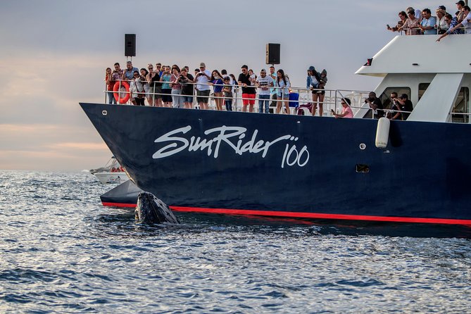 Whale Watching Dinner Cruise in Cabo San Lucas - The open bar changes the tone of the evening