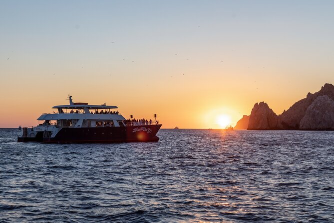 Whale Watching Dinner Cruise in Cabo San Lucas - Getting to the marina and choosing a seat