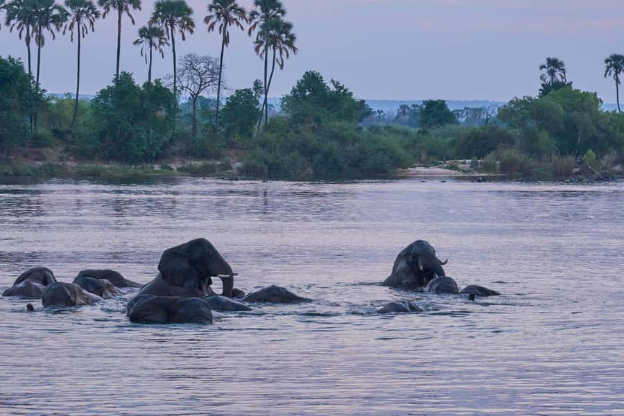 Zambezi River: Dinner Cruise - Sunset on the Zambezi, with dinner ahead