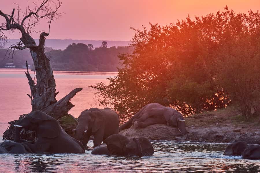 Zambezi River: Dinner Cruise - Sunset changes the mood of the cruise