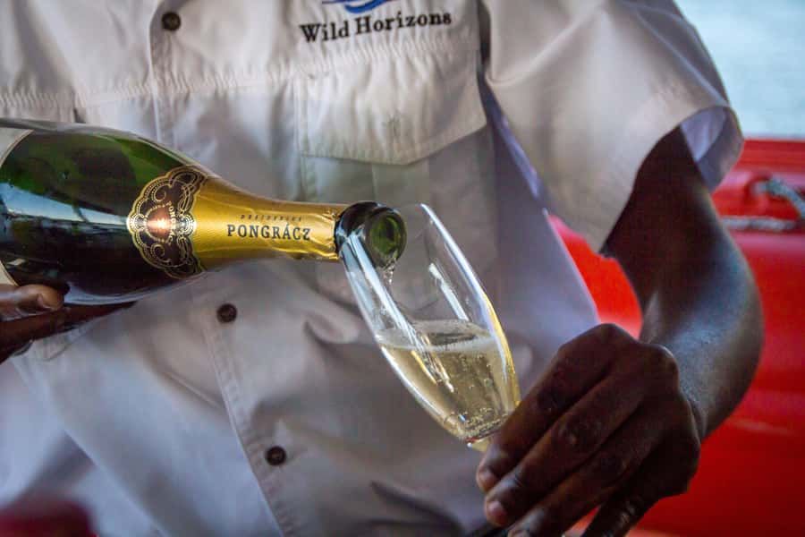 Zambezi River: Dinner Cruise - Unlimited drinks make the price easier to judge